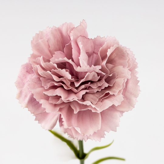 Искусственная гвоздика, пудровая, 51 см (9259-087) Искусственная гвоздика, пудровая, 51 см (9259-087)