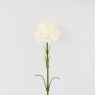 Искусственная гвоздика, белая, 51 см (9259-089)
