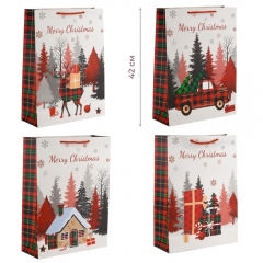 Подарунковий пакет "Різдвяні подарунки", 31*42 см * Рандомний вибір дизайну (9263-009)