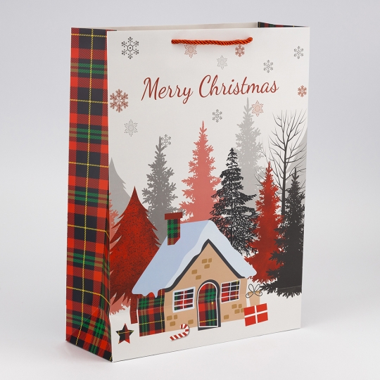 Подарунковий пакет 