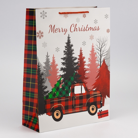 Подарунковий пакет 