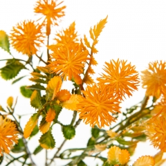 Букет Айстри, помаранчевий (8723-203)