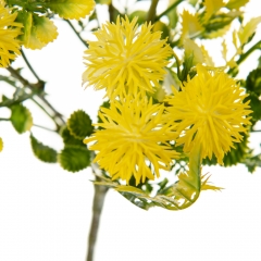 Букет Айстри, жовтий (8723-204)