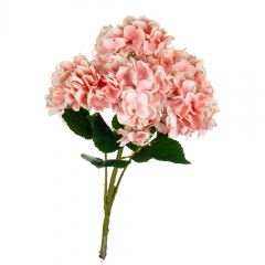 Букет "Гортензія коралова" (8103-010)