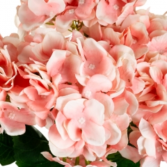 Букет "Гортензія коралова" (8103-010)