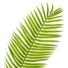 Декоративна гілочка (8412-032)