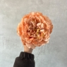 Головка пиона, бежевая, 17 см (8502-010/5)