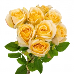 Букет из роз, кремовый, 48 см (9160-022)