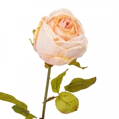 Роза "Лора", розовая, 66 см (9160-027)