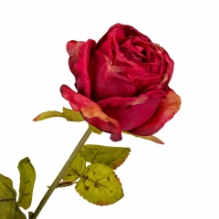 Роза "Лора", бордовая, 66 см (9160-028)