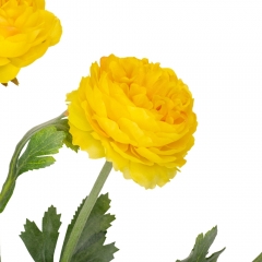 Роза пионовидная, желтая, 50 см (9160-044)