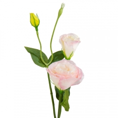 Эустома "Айлин", нежно-розовая, 67 см (9160-046)