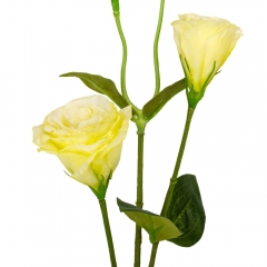 Эустома "Айлин", кремовая, 67 см (9160-048)