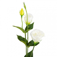 Эустома "Айлин", белая, 67 см (9160-049)