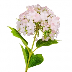 Гортензия "Аура", розовая, 80 см (9160-055)