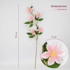 Клематис, розовый, 78 см (9259-011)