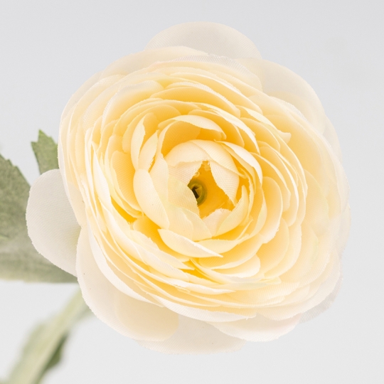 Искусственный ранункулюс с 3 бутонами, кремовый, 50 см (9259-017) Искусственный ранункулюс с 3 бутонами, кремовый, 50 см (9259-017)