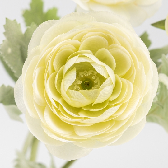 Штучний ранункулюс з 3 бутонами, молочний, 50 см (9259-018)