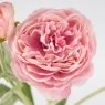 Искусственный ранункулюс с 3 бутонами, светло-розовый, 50 см (9259-056)