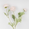 Искусственный ранункулюс с 3 бутонами, пудровый, 50 см (9259-057)