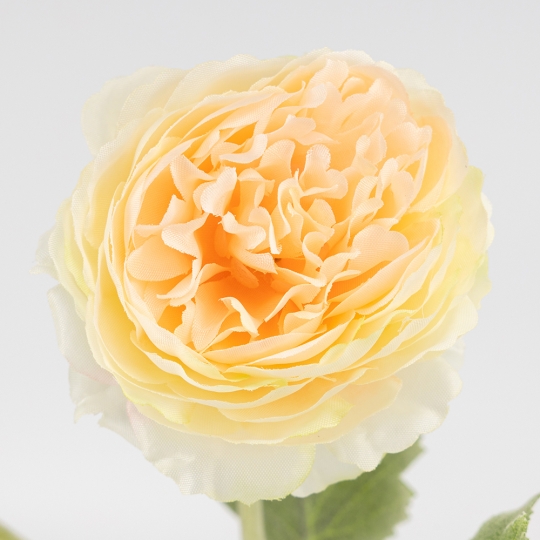 Искусственный ранункулюс с 3 бутонами, кремовый, 50 см (9259-134) Искусственный ранункулюс с 3 бутонами, кремовый, 50 см (9259-134)