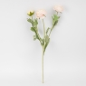 Искусственный ранункулюс с 3 бутонами, пудровый, 50 см (9259-136)