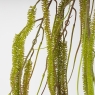 Искусственная свисающая ветка 