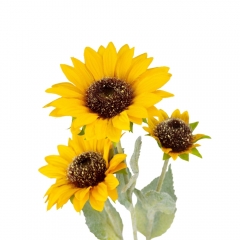 Штучний соняшник, 3 бутони, жовтий, 65 см (9213-026)