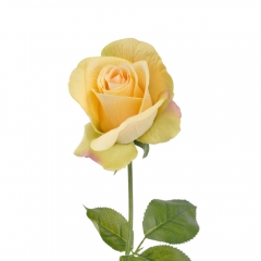 Латексная роза "Клара", жёлтая, 65 см (9213-030)