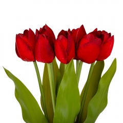 Букет тюльпанов "Красочность", красный, 40 см (9129-023)