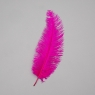 Страусиное перо 25-30 см ярко-фиолетовый (8501-002/bright-purple)