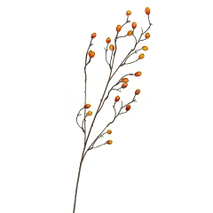 Гілочка шипшини, 82 см (8414-003)