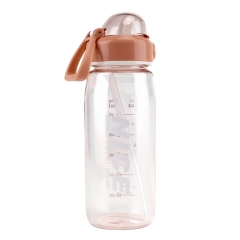 Пляшка для спорту "Nice Bottle", 650 мл * Рандомний вибір дизайну (9210-003)