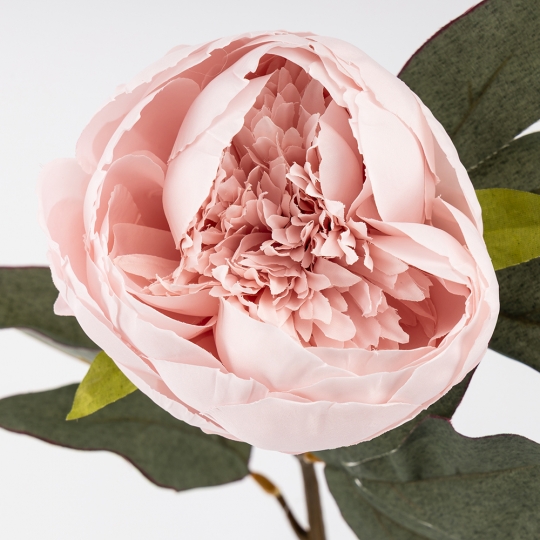 Искусственные пионы, розовые, 66 см (9249-001)