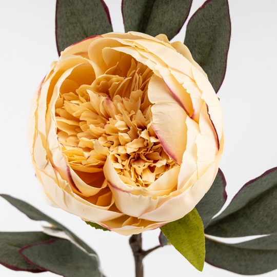 Искусственные пионы, кремовые, 66 см (9249-004) Искусственные пионы, кремовые, 66 см (9249-004)