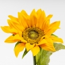 Искусственный подсолнух, желтый, 63 см (9259-006)