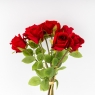 Букет роз, 8 бутонов, красный, 48 см (9259-020)