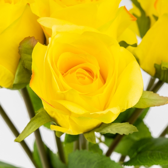 Букет роз, 8 бутонов, желтый, 48 см (9259-021)