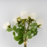 Букет роз, 8 бутонов, белый, 48 см (9259-022)