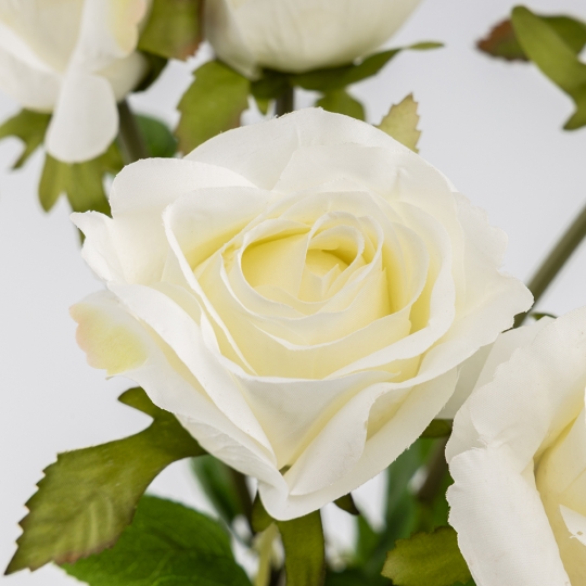 Букет роз, 8 бутонов, белый, 48 см (9259-022) Букет роз, 8 бутонов, белый, 48 см (9259-022)