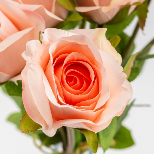 Букет роз, 8 бутонов, розовый, 48 см (9259-023)