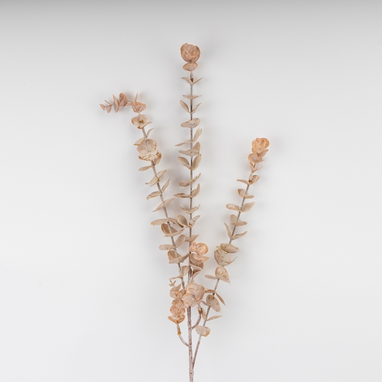 Штучна гілка 