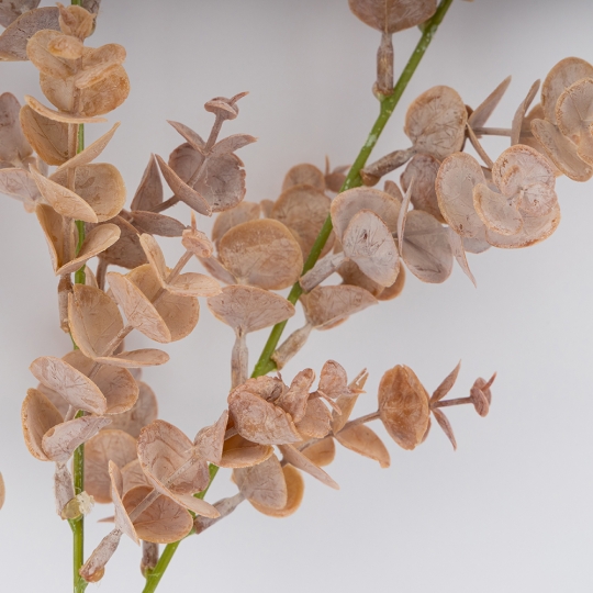 Штучна гілка 