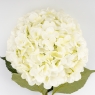 Штучна гортензія, біла, 93 см (2024-006)