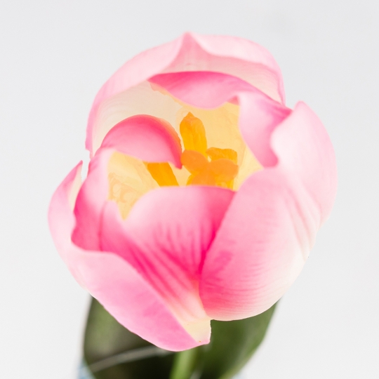 Штучний тюльпан з ефектом живого дотику, кремово-рожевий, 45 см (2025-017)