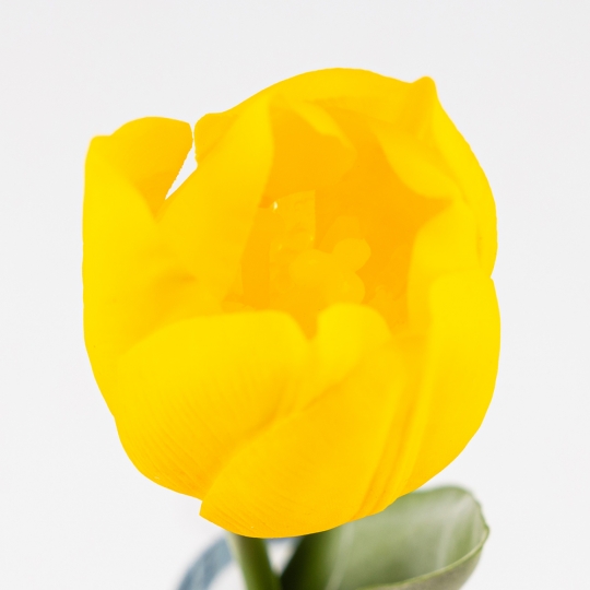 Штучний тюльпан з ефектом живого дотику, жовтий, 45 см (2025-018) Штучний тюльпан з ефектом живого дотику, жовтий, 45 см (2025-018)