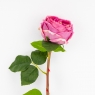 Штучна піоновидна троянда з ефектом живого дотику, рожева, 53 см (2025-024)