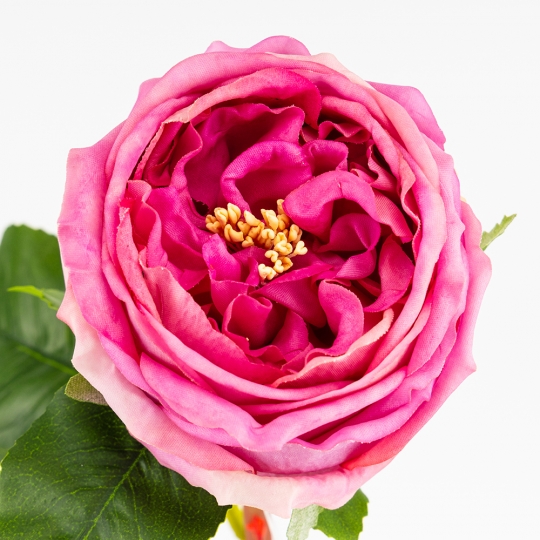 Штучна піоновидна троянда з ефектом живого дотику, рожева, 53 см (2025-024) Штучна піоновидна троянда з ефектом живого дотику, рожева, 53 см (2025-024)