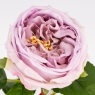 Штучна піоновидна троянда з ефектом живого дотику, лілова, 53 см (2025-025)