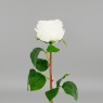 Искусственная пионовидная роза с эффектом живого прикосновения, белая, 53 см (2025-026)